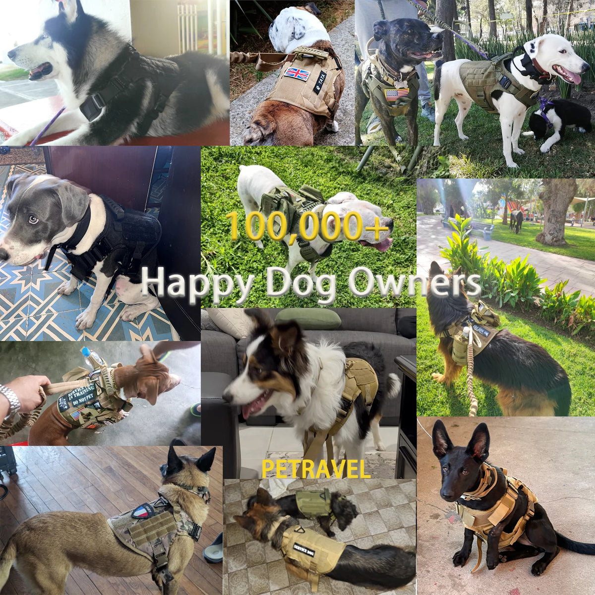 PETRAVEL Tactical Dog Harness With MOLLE Pouches for Training and Walking