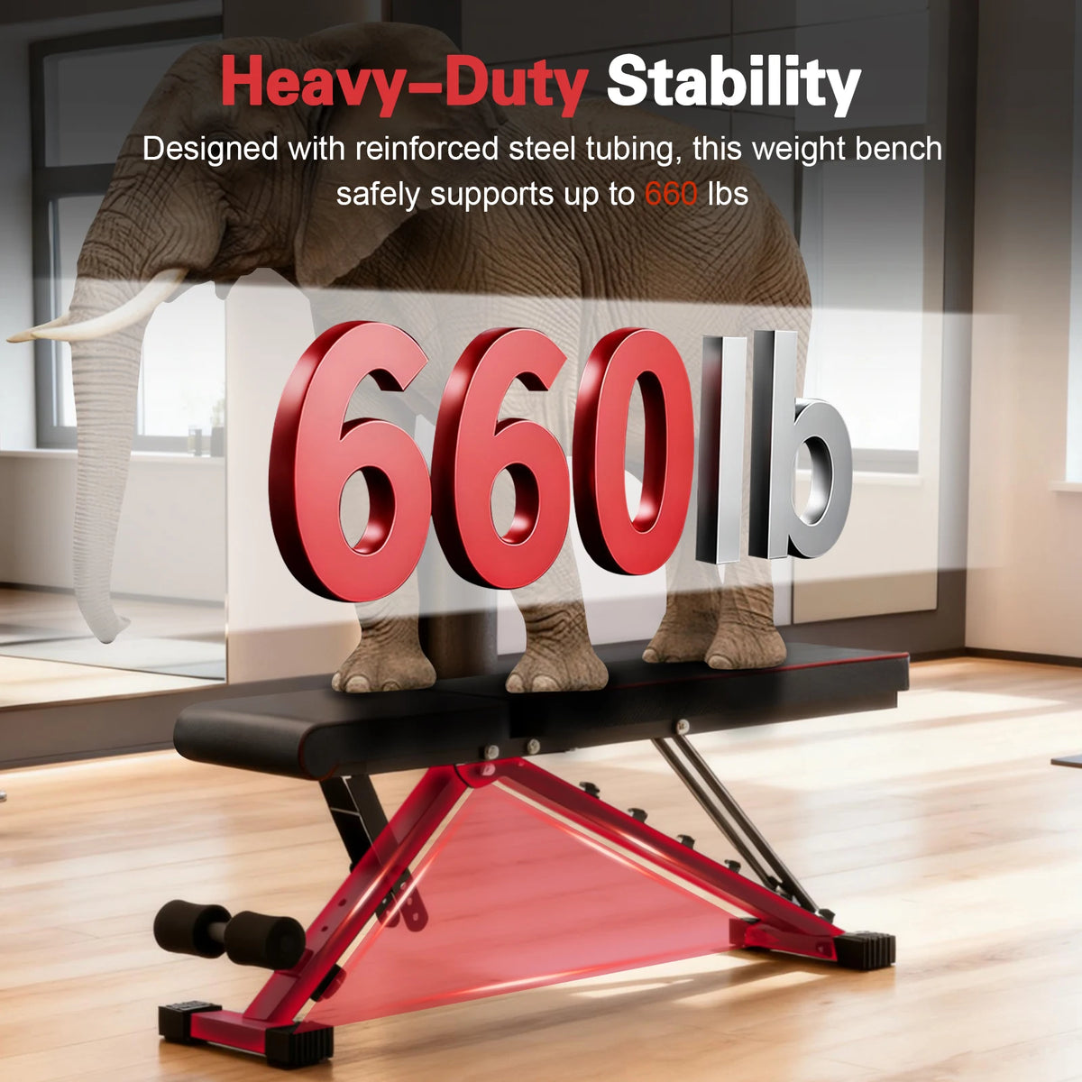 Adjustable Foldable Weight Bench for Full Body Home Workouts